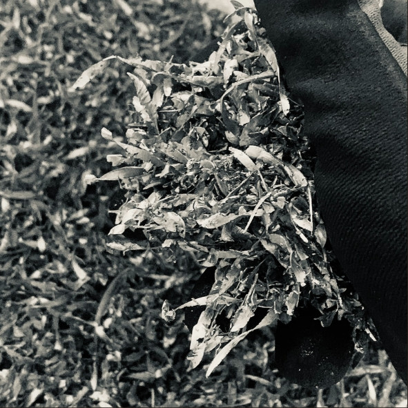 Environmental Responsibility